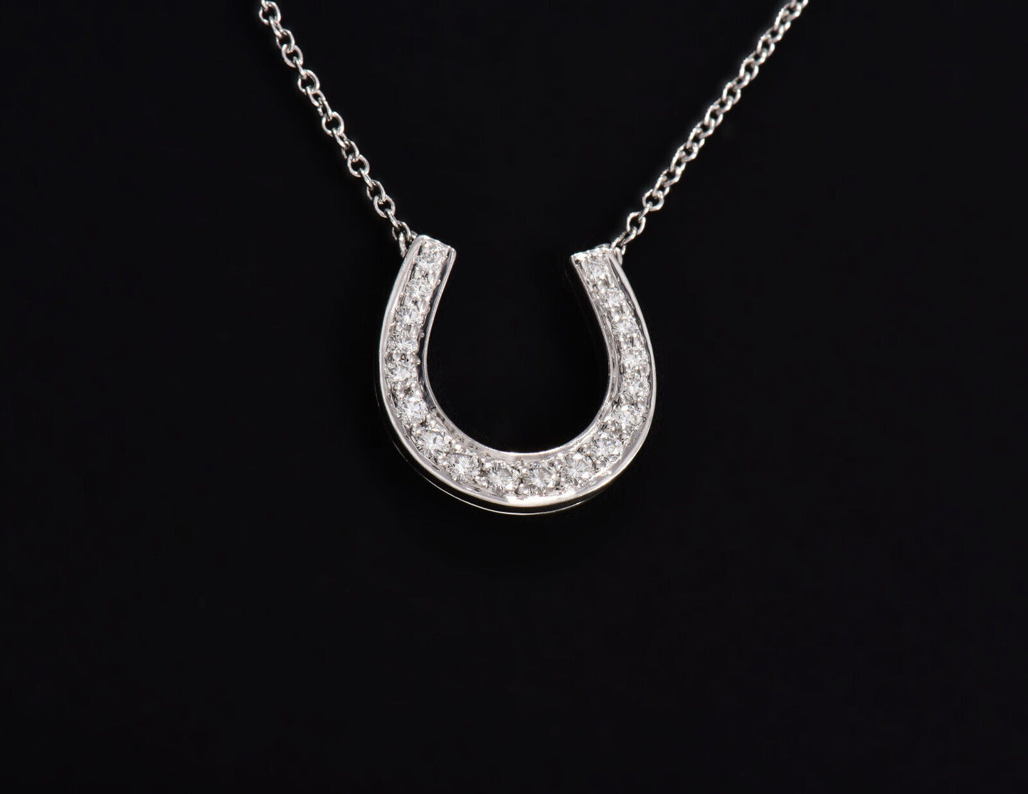 Tiffany & Co Platinum Diamond Large Horseshoe 14mm Pendant 17" Necklace in Box