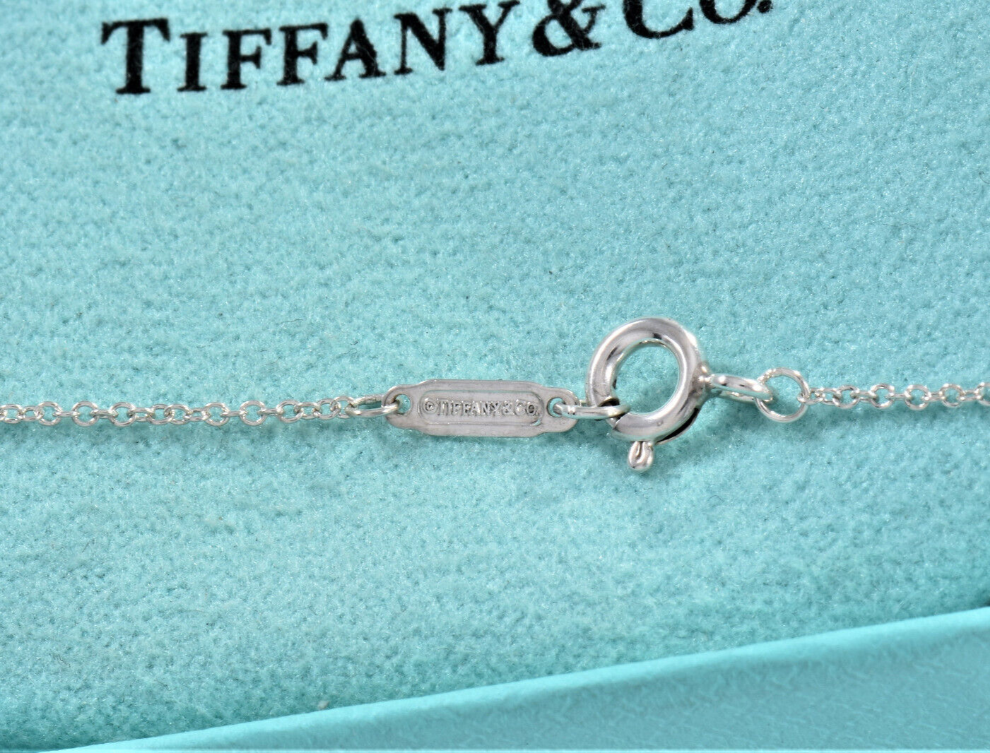 Tiffany & Co Silver Mini 20mm Oval Key Pendant 16.25" Chain Necklace in Pouch