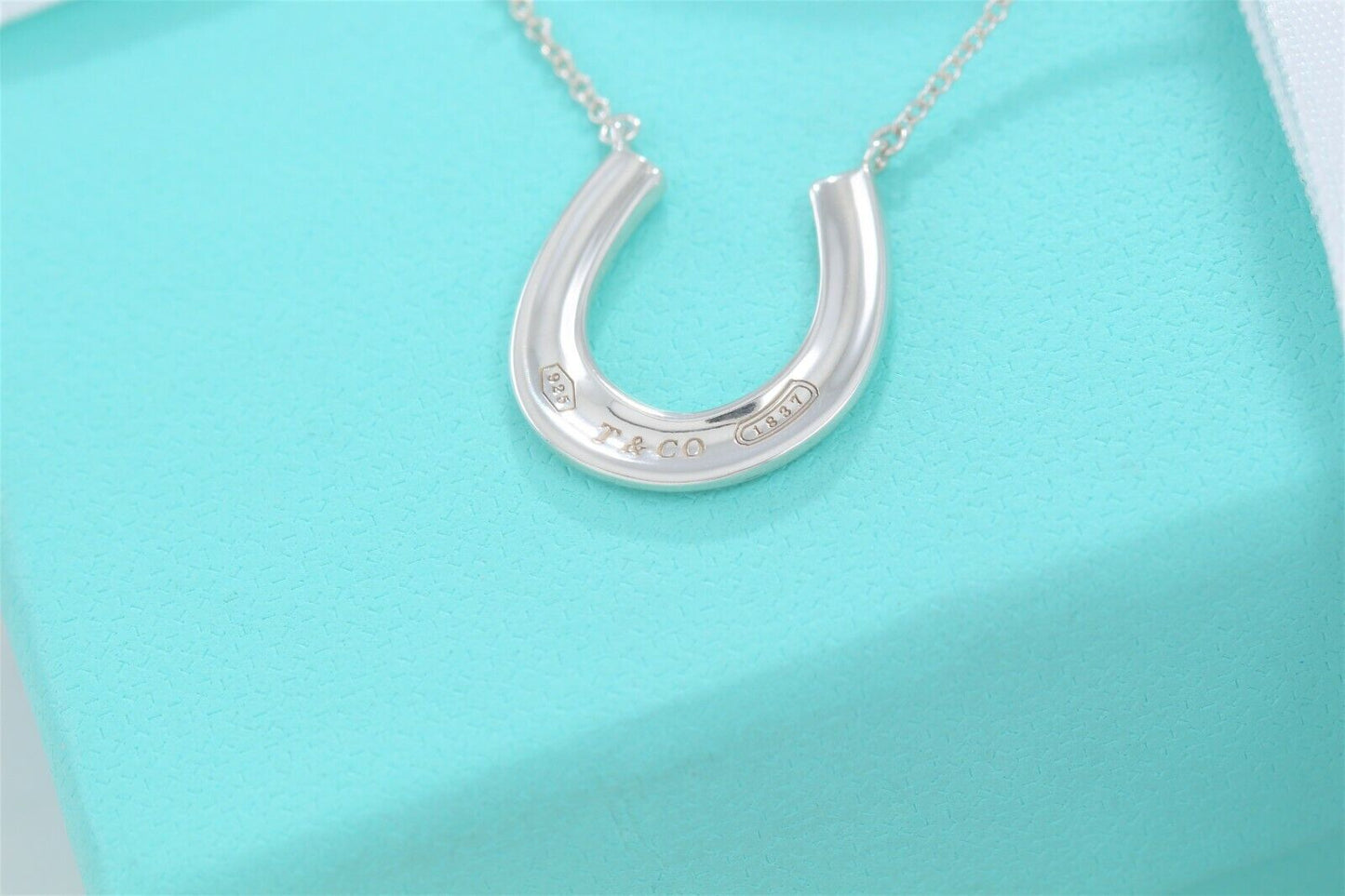 Tiffany & Co Sterling Silver 1837 Horseshoe Pendant 18.75" Necklace & Pouch Rare