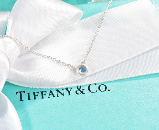 Tiffany & Co Silver Elsa Peretti Color By Yard Aquamarine Necklace in Box Pouch