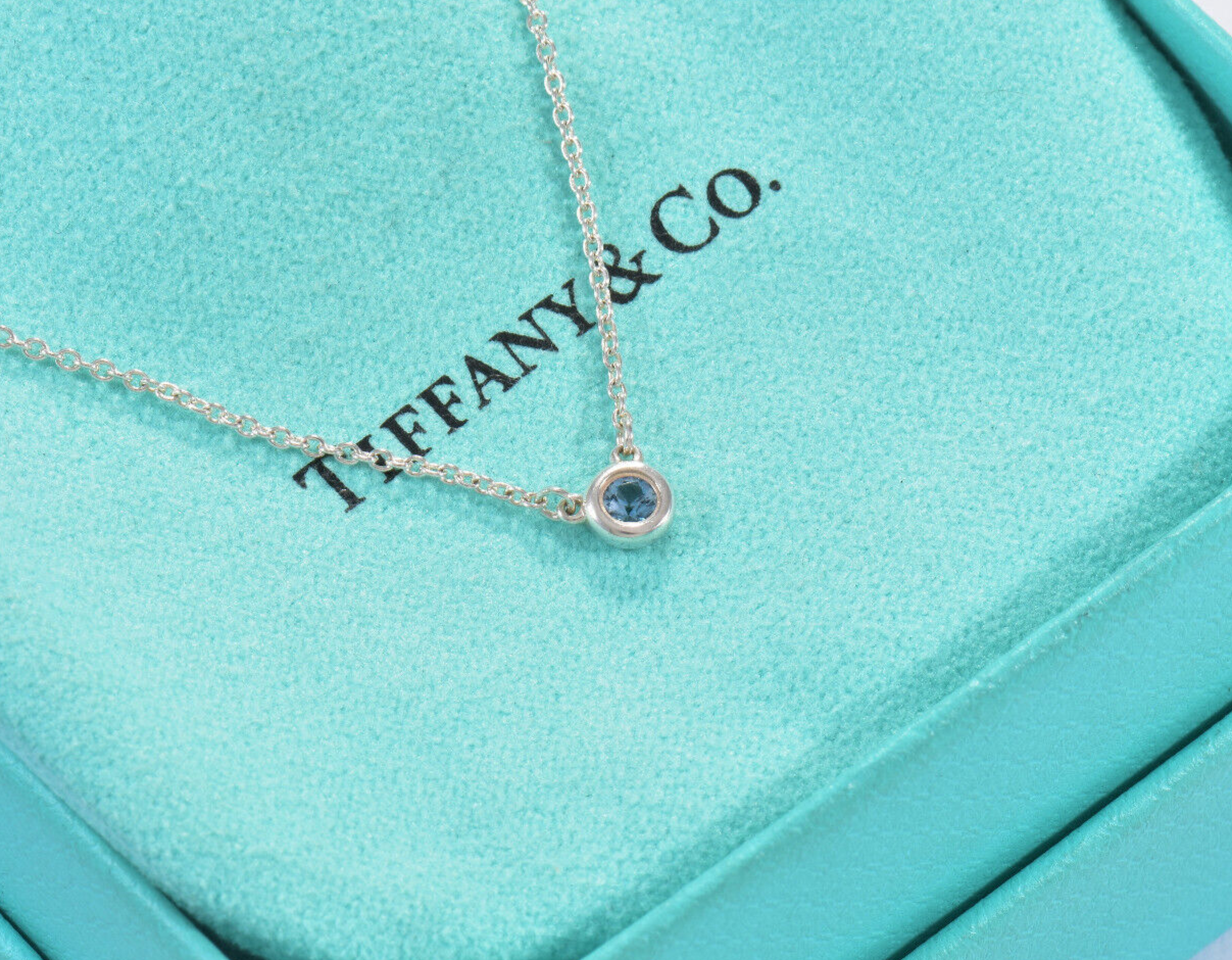 Tiffany & Co Silver Elsa Peretti Color By Yard Aquamarine Necklace in Box Pouch