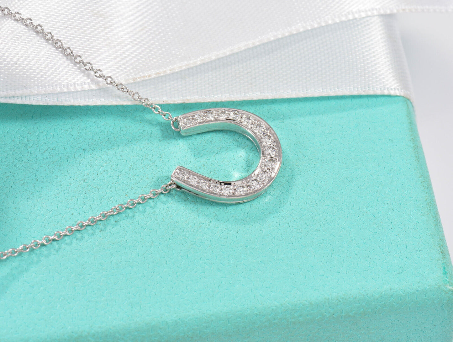 Tiffany & Co Platinum Diamond Large Horseshoe 14mm Pendant 17" Necklace in Box