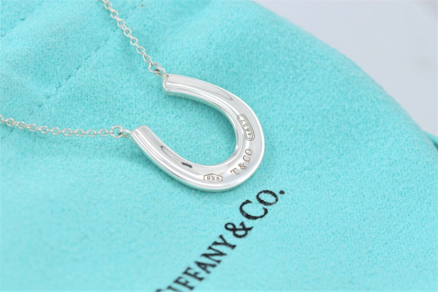 Tiffany & Co Sterling Silver 1837 Horseshoe Pendant 18.75" Necklace & Pouch Rare