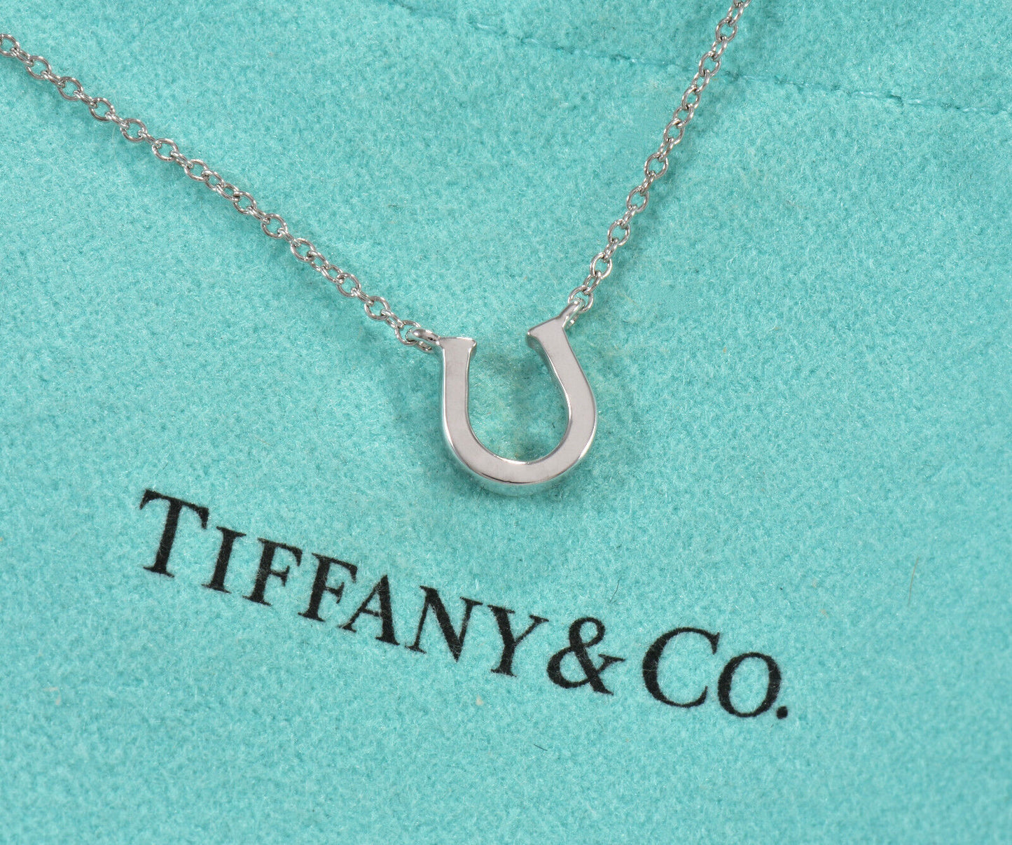 Tiffany & Co Diamond White Gold Metro Horseshoe Pendant 16.5" Necklace Boxed 8mm