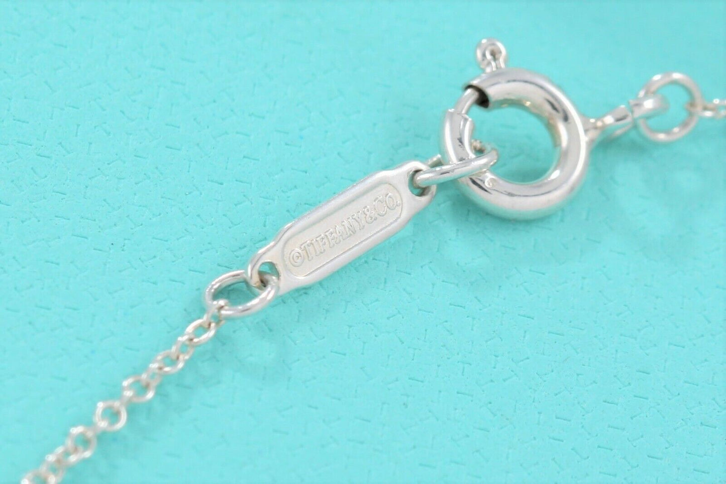 Tiffany & Co Sterling Silver 1837 Horseshoe Pendant 18.75" Necklace & Pouch Rare