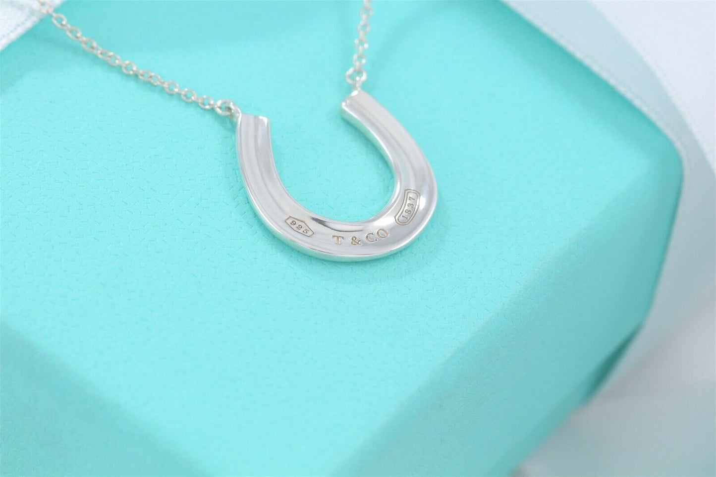 Tiffany & Co Sterling Silver 1837 Horseshoe Pendant 18.75" Necklace & Pouch Rare