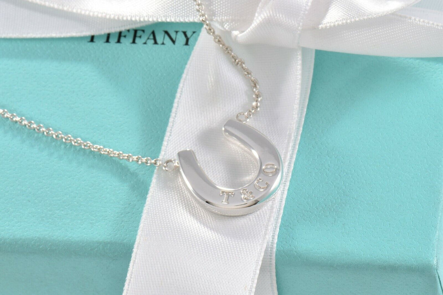 Tiffany & Co Sterling Silver Thick Horseshoe Pendant 16" Necklace in Pouch Rare