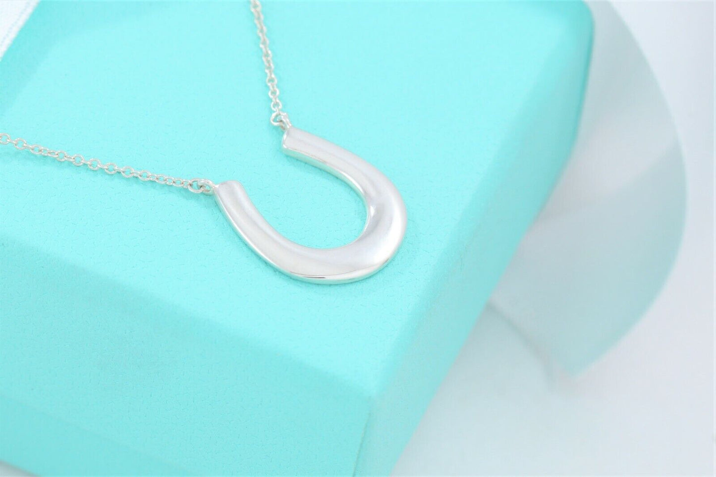 Tiffany & Co Sterling Silver 1837 Horseshoe Pendant 18.75" Necklace & Pouch Rare