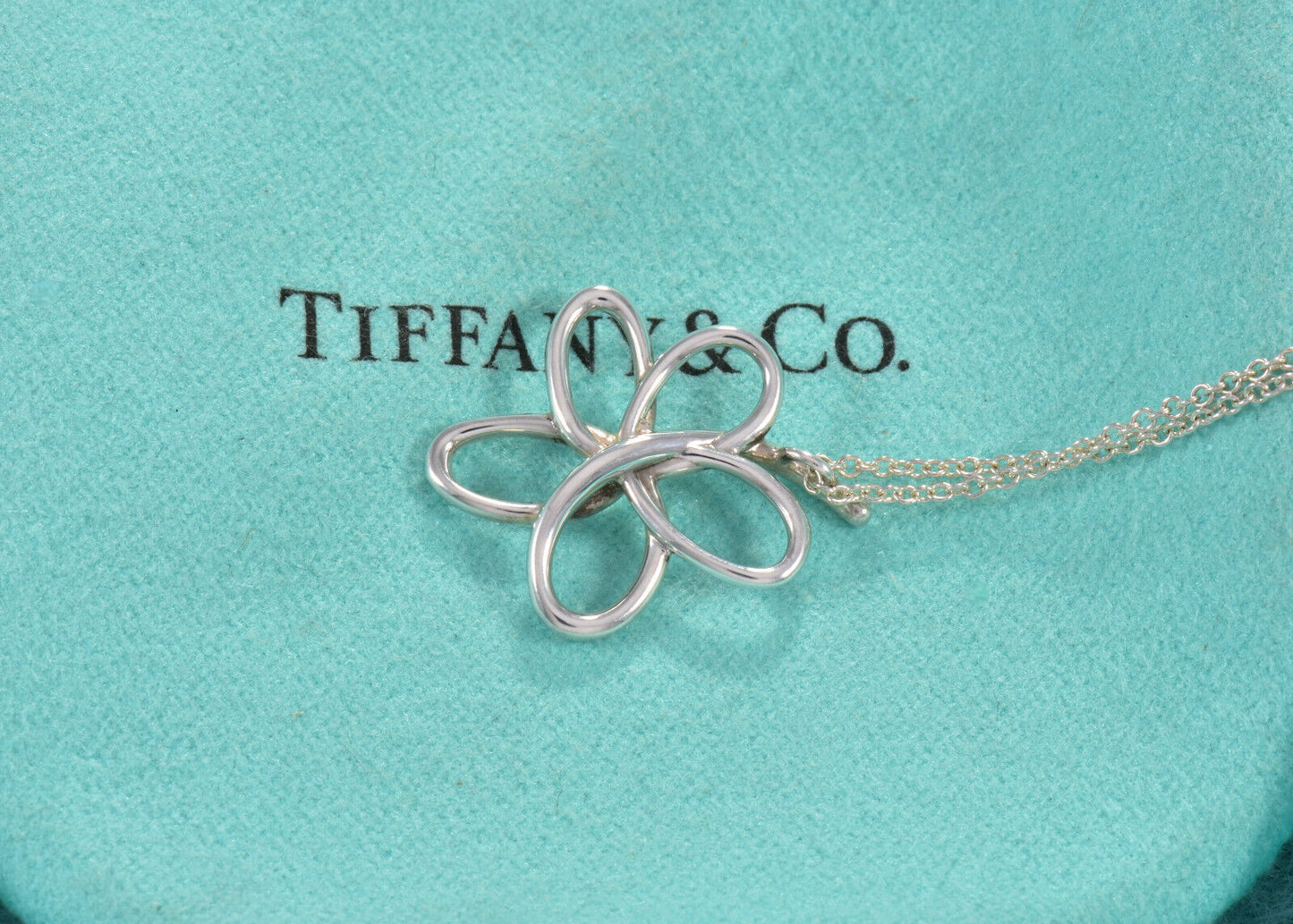 Boxed Tiffany & Co Paloma Picasso Silver Villa Flower Pendant Necklace Lovely