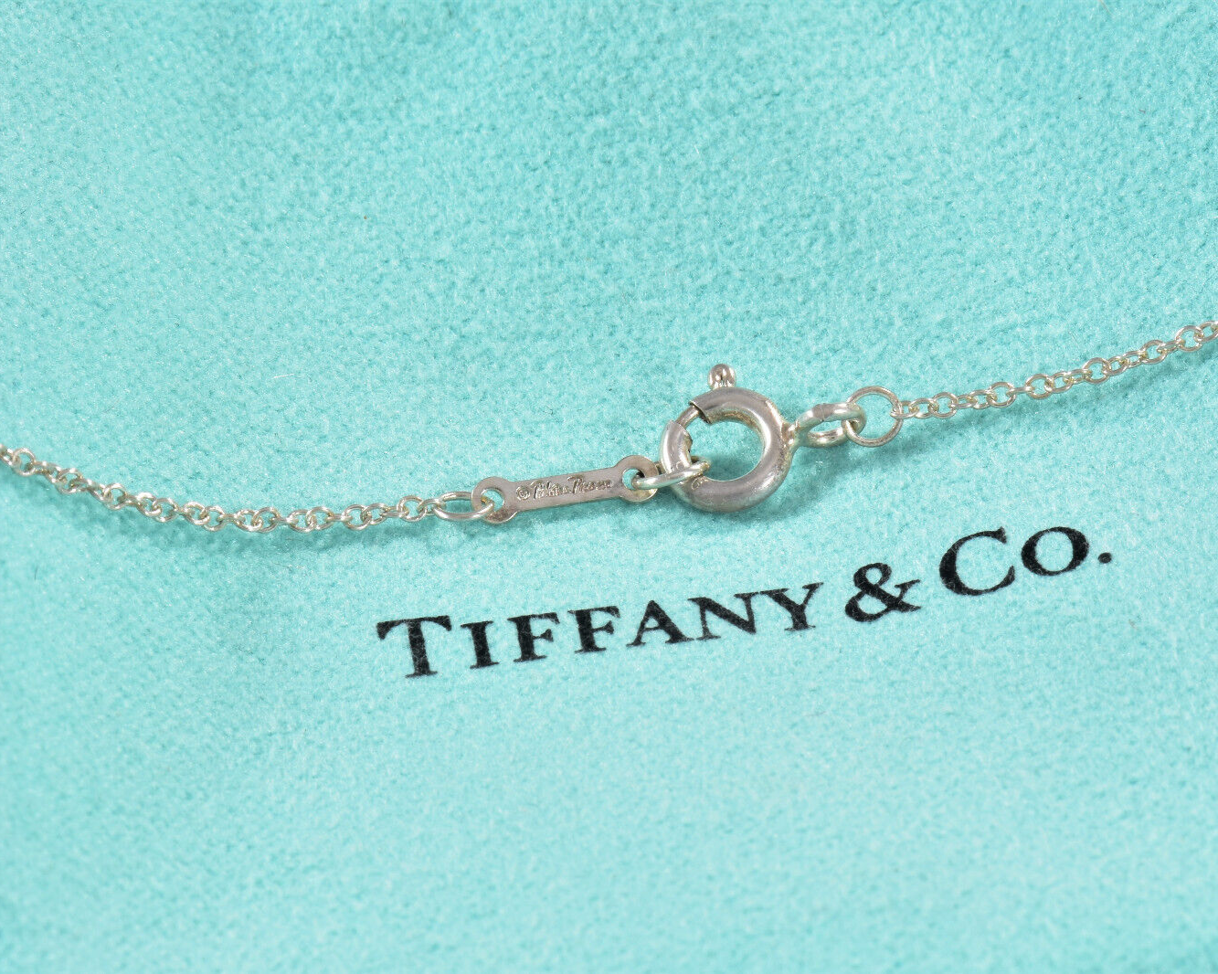 Tiffany & Co Diamond Silver Paloma Picasso Loving Heart Clover Pendant Necklace