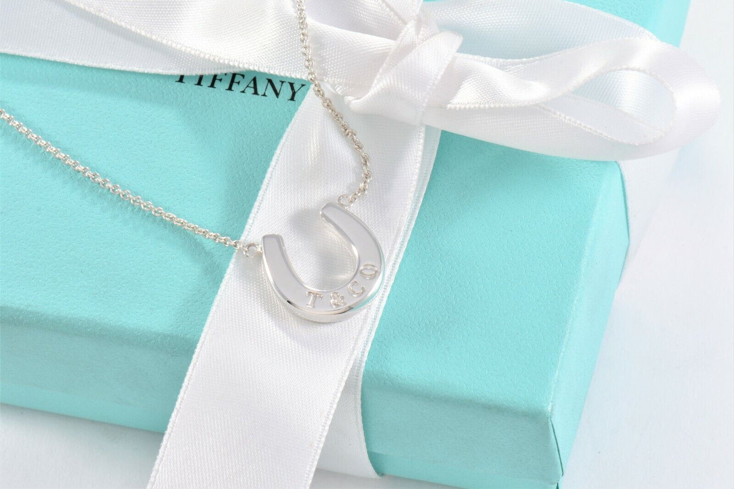 Tiffany & Co Sterling Silver Thick Horseshoe Pendant 16" Necklace in Pouch Rare