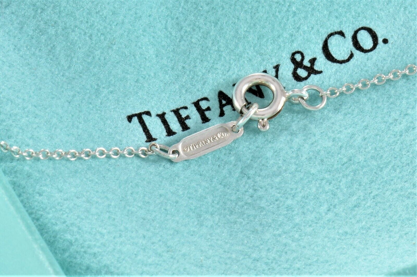 Tiffany & Co Silver Diamond Blossom Garden Flower Pendant 16.25" Necklace Pouch