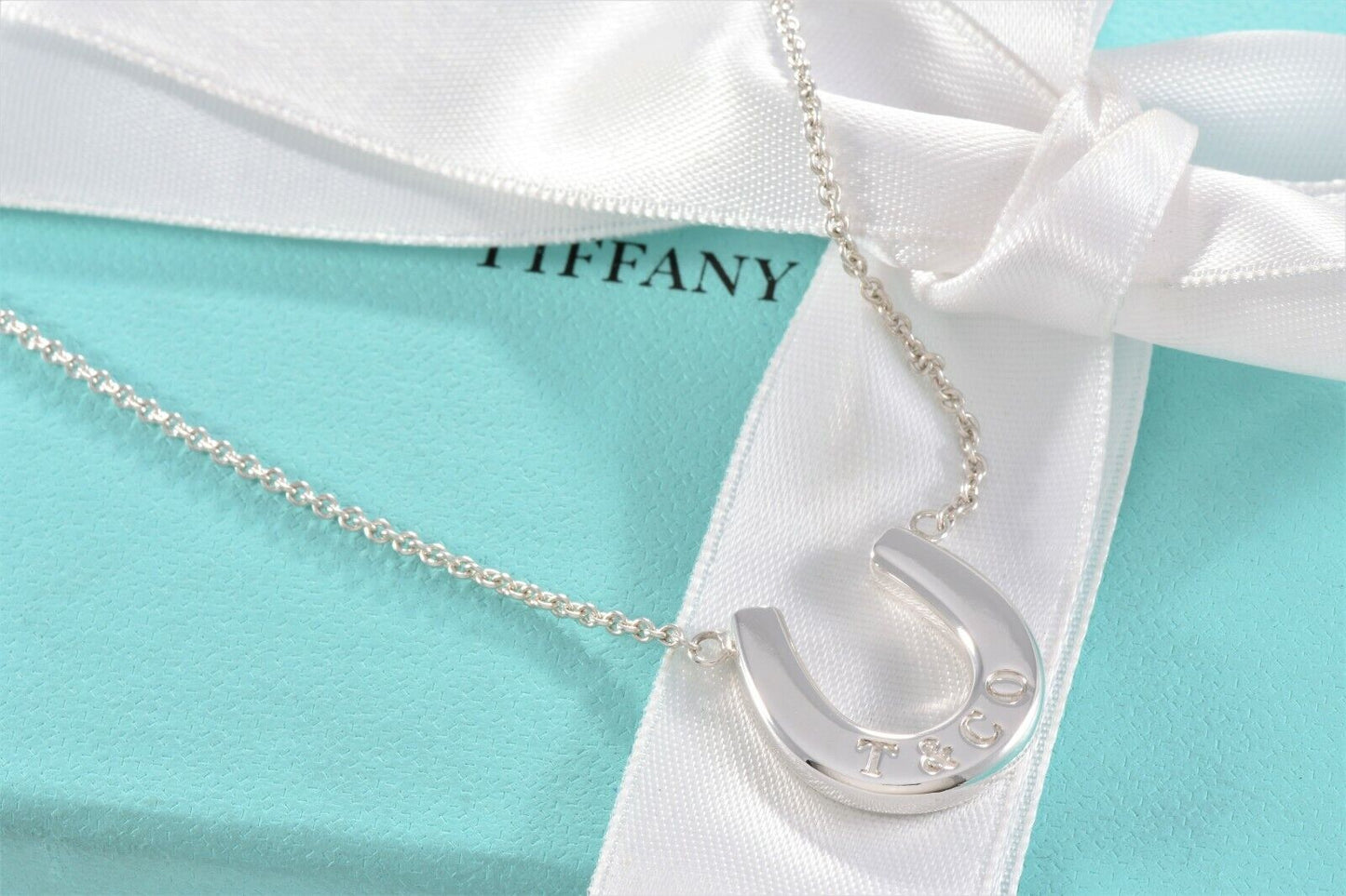 Tiffany & Co Sterling Silver Thick Horseshoe Pendant 16" Necklace in Pouch Rare