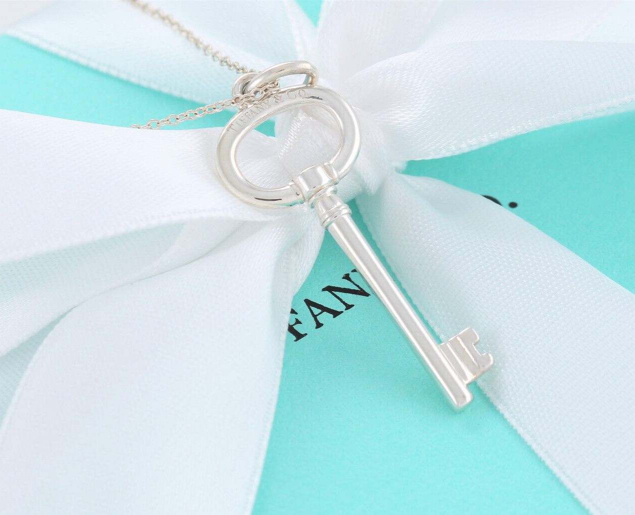 Tiffany & Co Sterling Silver 1.5" Oval Key Pendant 18.25" Chain Necklace in Box