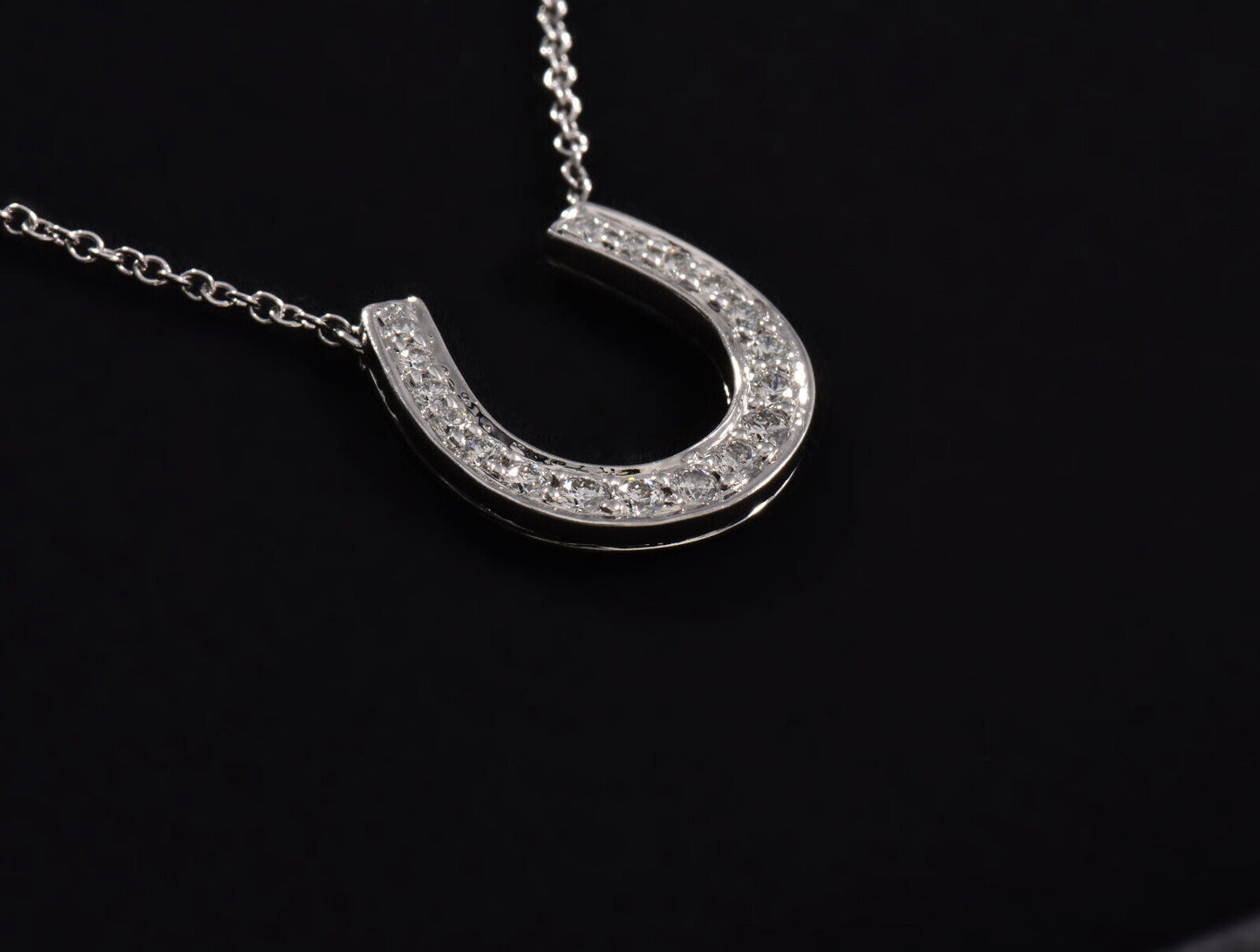 Tiffany & Co Platinum Diamond Large Horseshoe 14mm Pendant 17" Necklace in Box