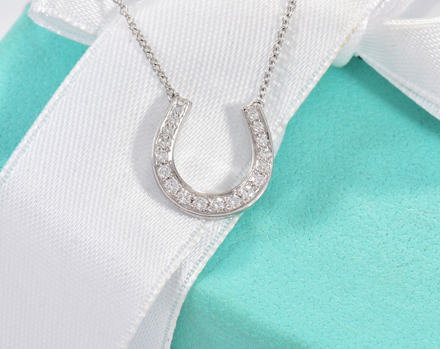 Tiffany & Co Platinum Diamond Large Horseshoe 14mm Pendant 17" Necklace in Box