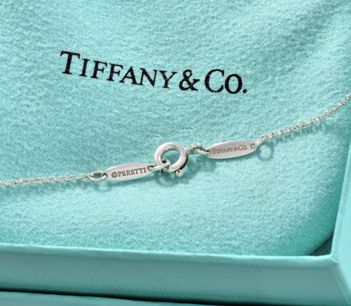 Tiffany & Co Silver Elsa Peretti Color By Yard Aquamarine Necklace in Box Pouch