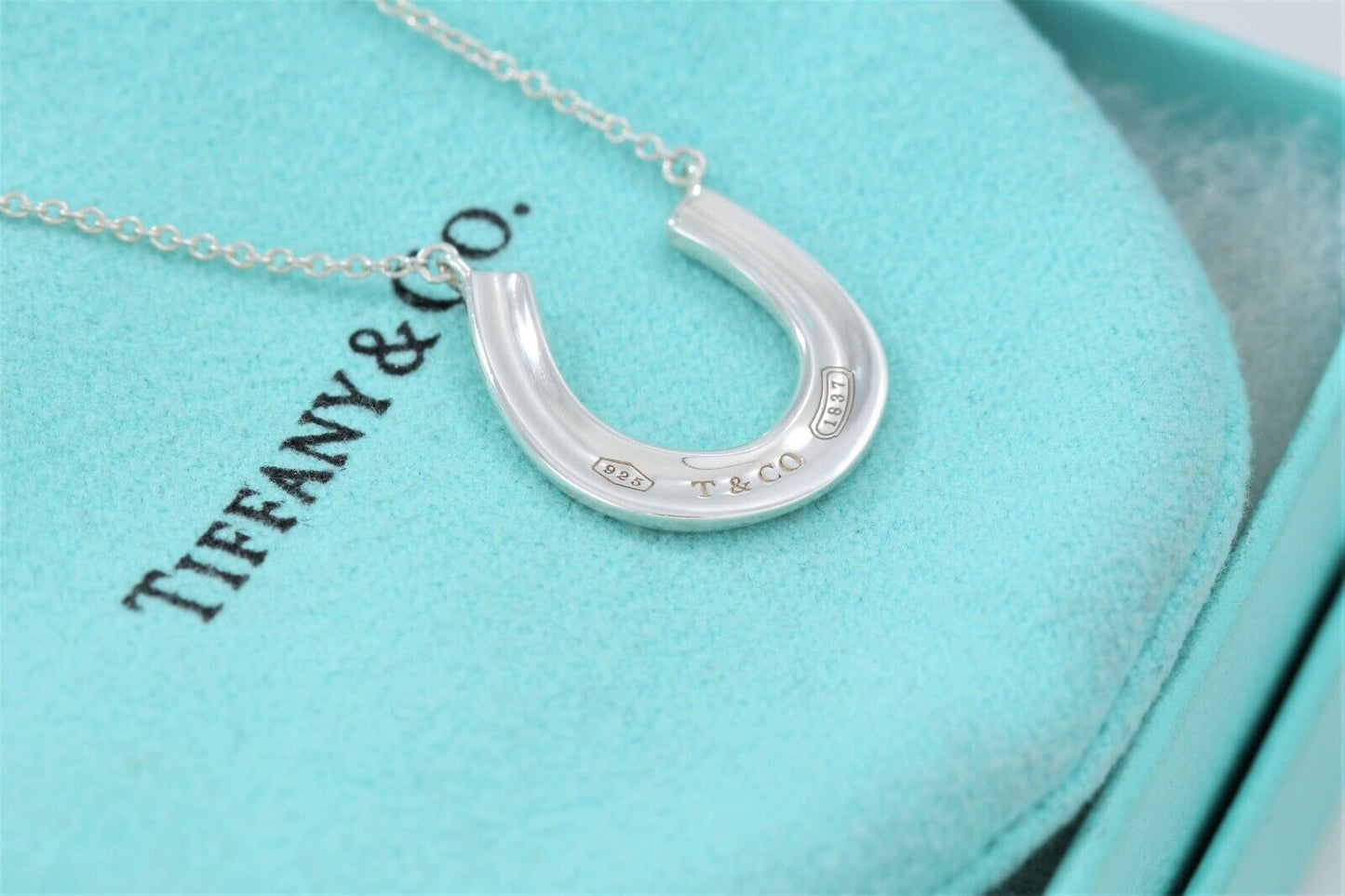 Tiffany & Co Sterling Silver 1837 Horseshoe Pendant 18.75" Necklace & Pouch Rare