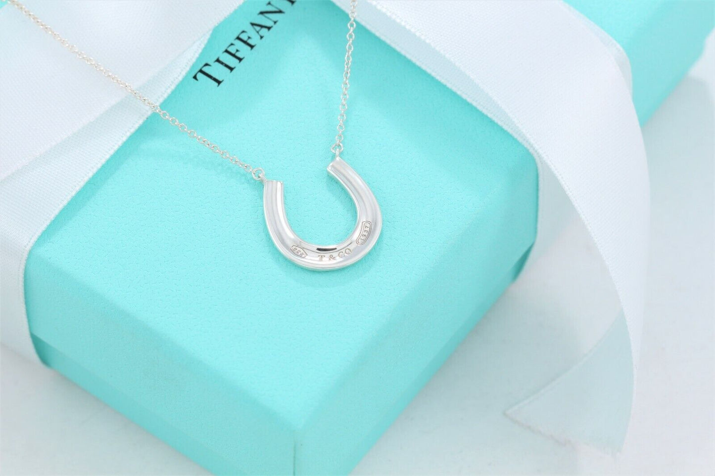 Tiffany & Co Sterling Silver 1837 Horseshoe Pendant 18.75" Necklace & Pouch Rare