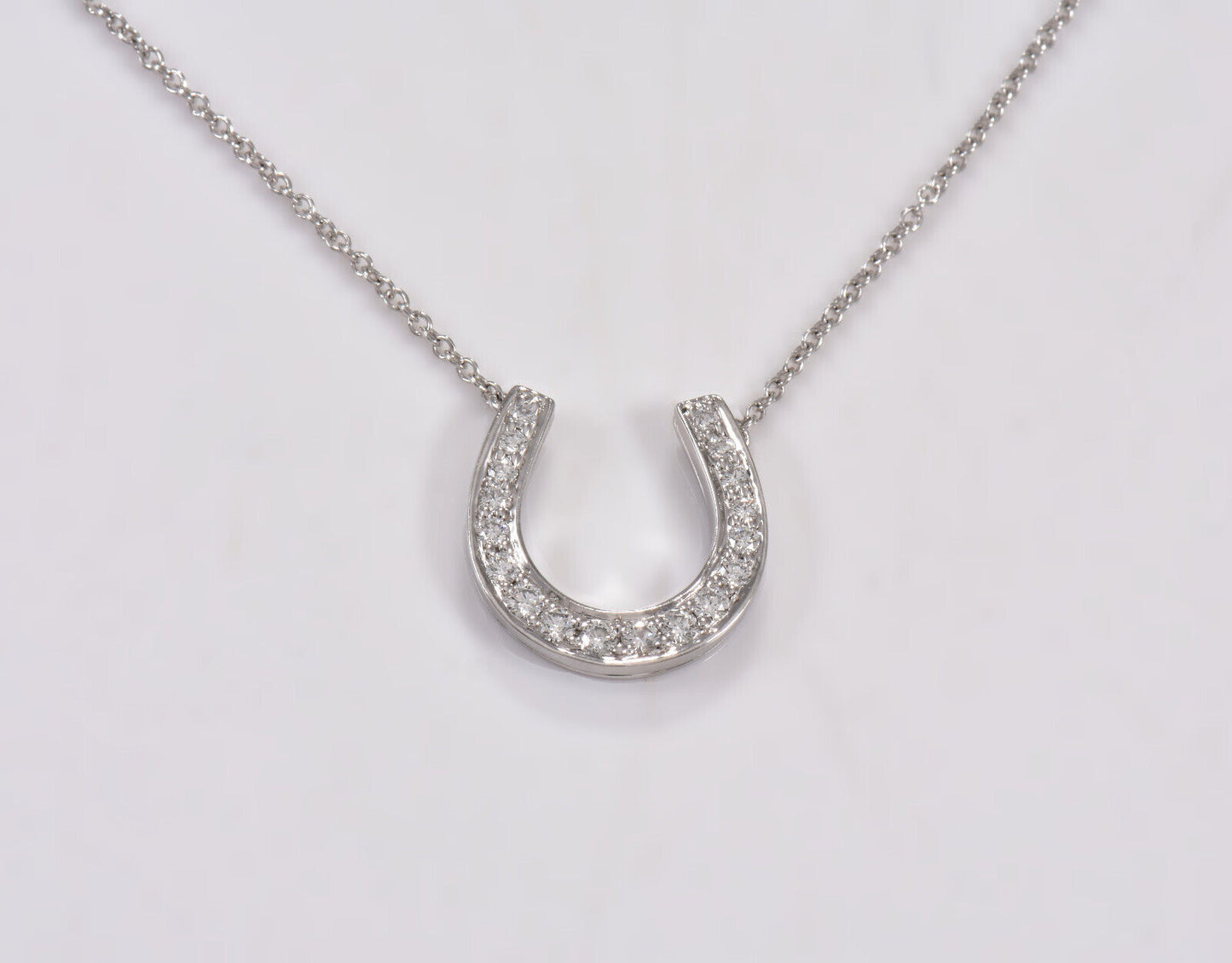 Tiffany & Co Platinum Diamond Large Horseshoe 14mm Pendant 17" Necklace in Box