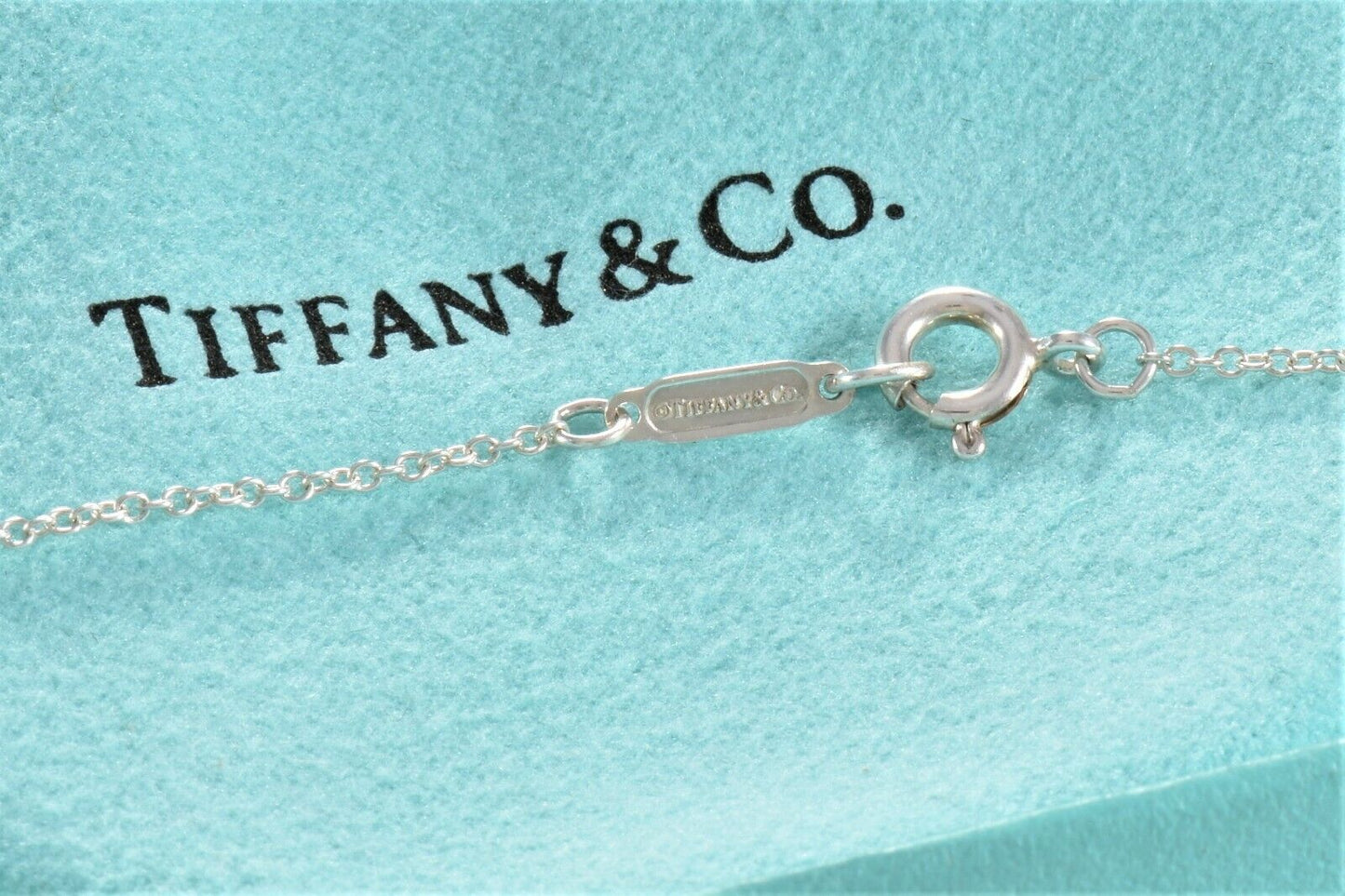 Tiffany & Co Silver Diamond Blossom Garden Flower Pendant 16.25" Necklace Pouch