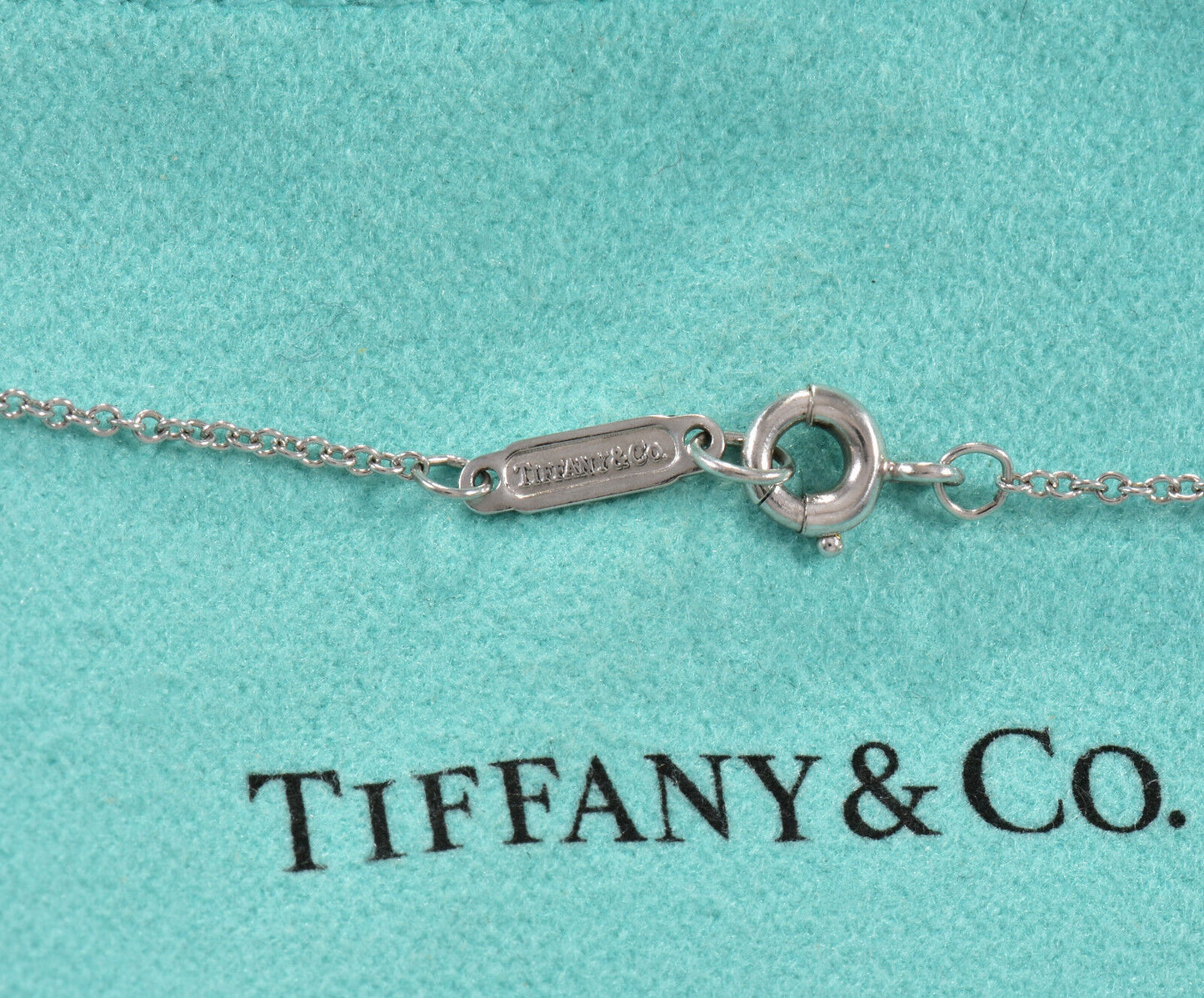 Tiffany & Co Platinum Diamond Large Horseshoe 14mm Pendant 17" Necklace in Box