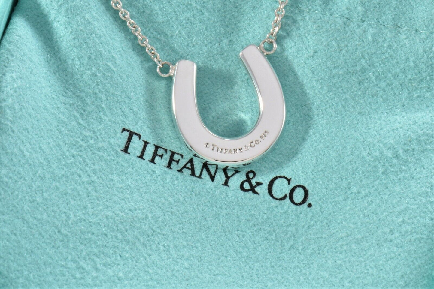 Tiffany & Co Sterling Silver Thick Horseshoe Pendant 16" Necklace in Pouch Rare