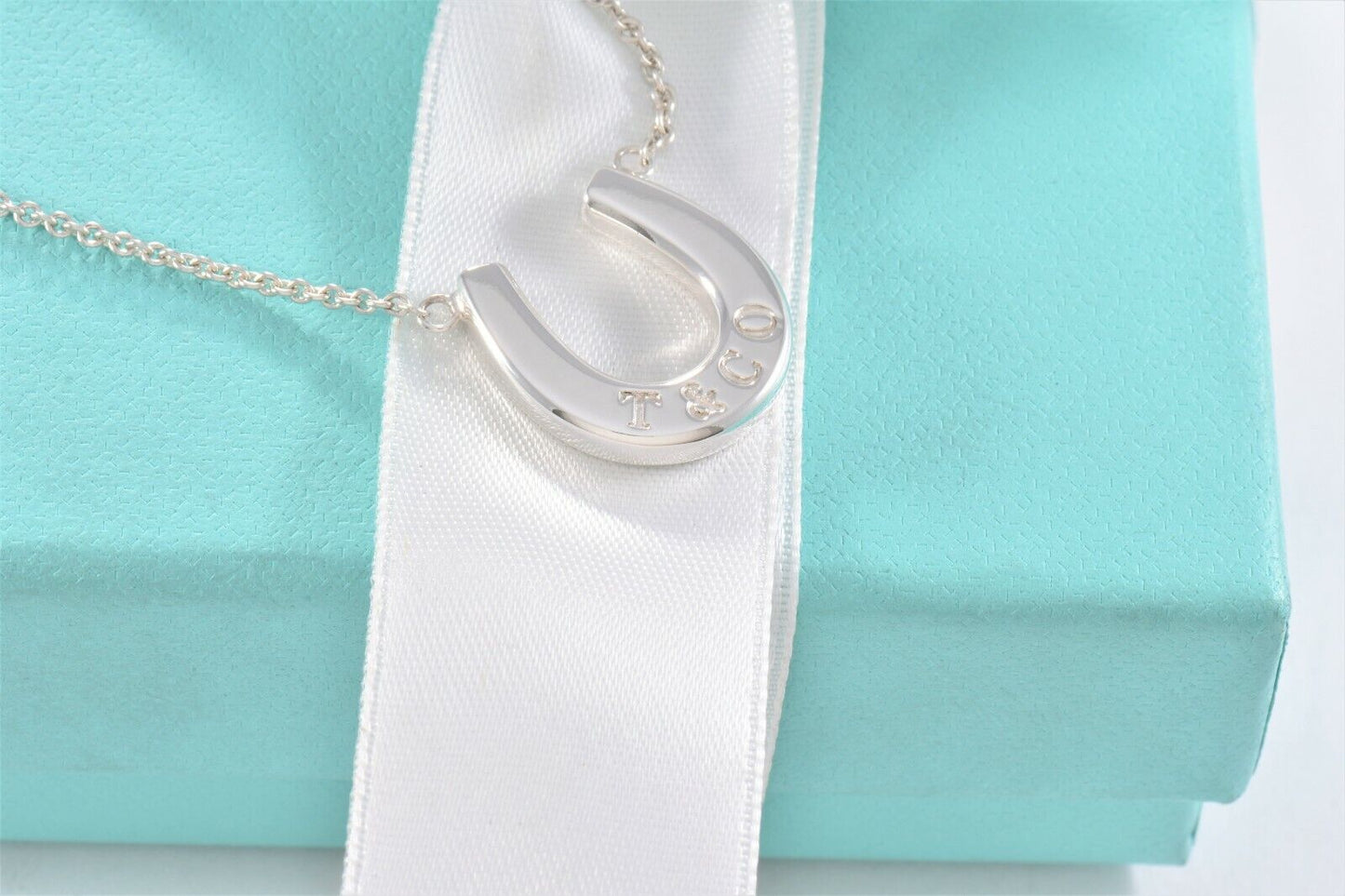 Tiffany & Co Sterling Silver Thick Horseshoe Pendant 16" Necklace in Pouch Rare