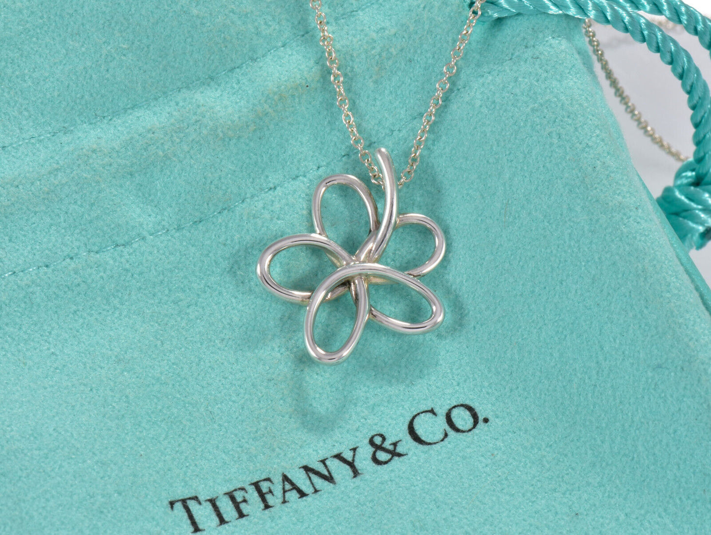 Boxed Tiffany & Co Paloma Picasso Silver Villa Flower Pendant Necklace Lovely