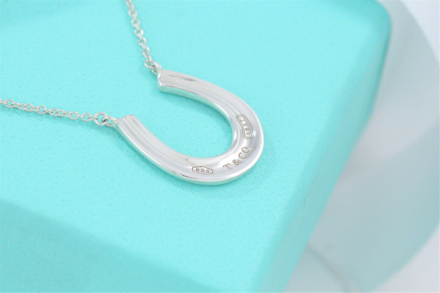 Tiffany & Co Sterling Silver 1837 Horseshoe Pendant 18.75" Necklace & Pouch Rare