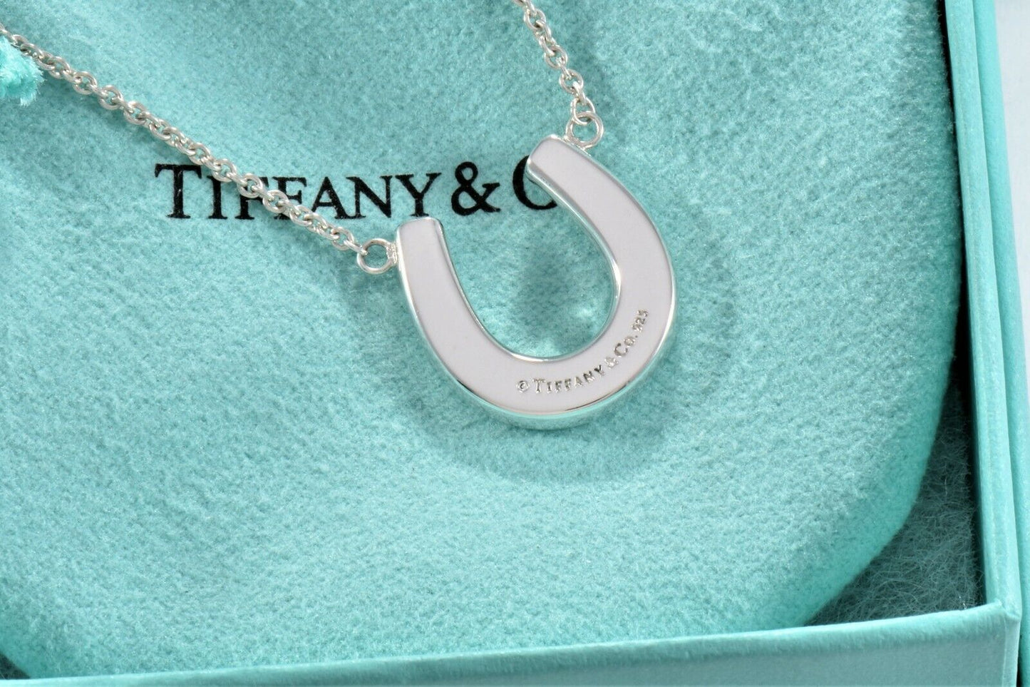 Tiffany & Co Sterling Silver Thick Horseshoe Pendant 16" Necklace in Pouch Rare