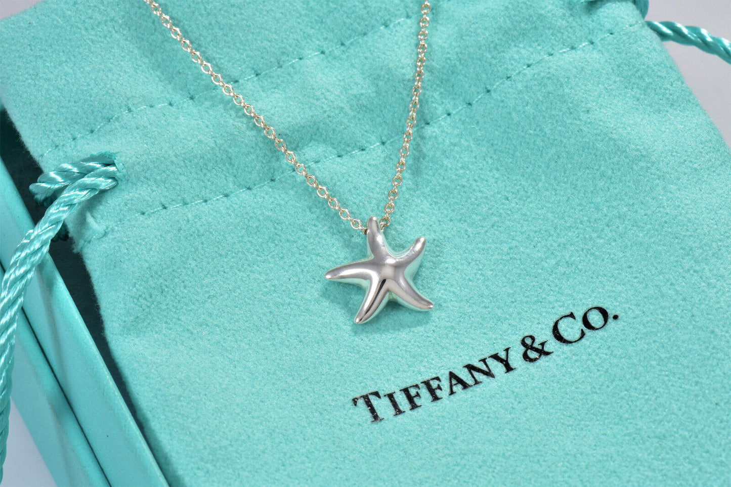 Tiffany & Co Silver Elsa Peretti Small Starfish Pendant 16" Necklace & Box Pouch