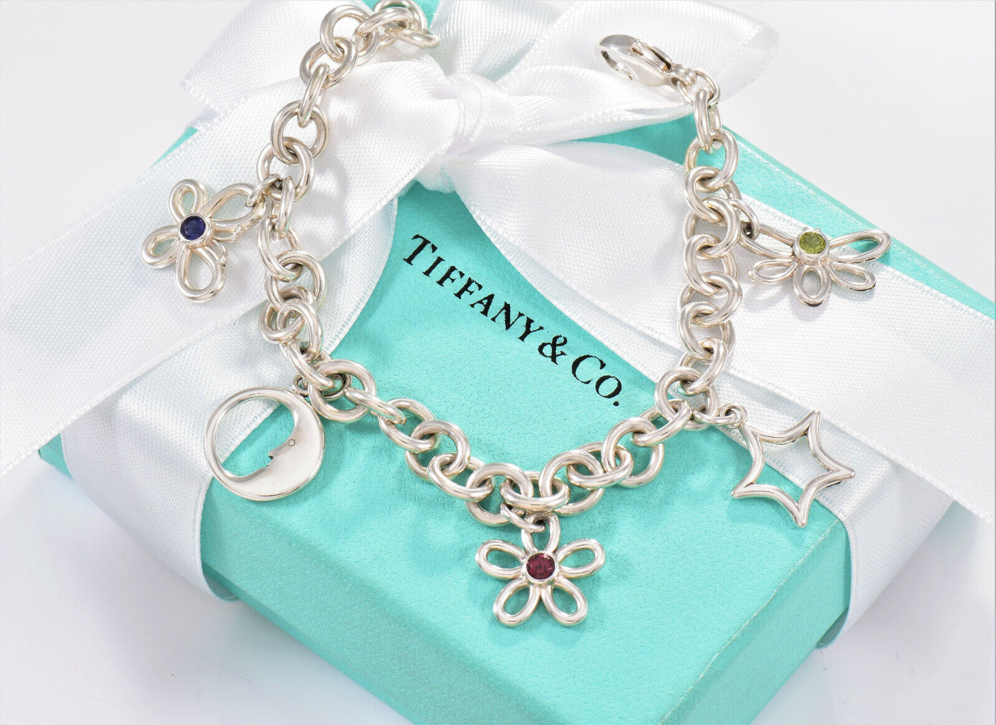 Tiffany & Co Silver Nature Gem Butterfly Moon Flower Star Dragonfly Bracelet