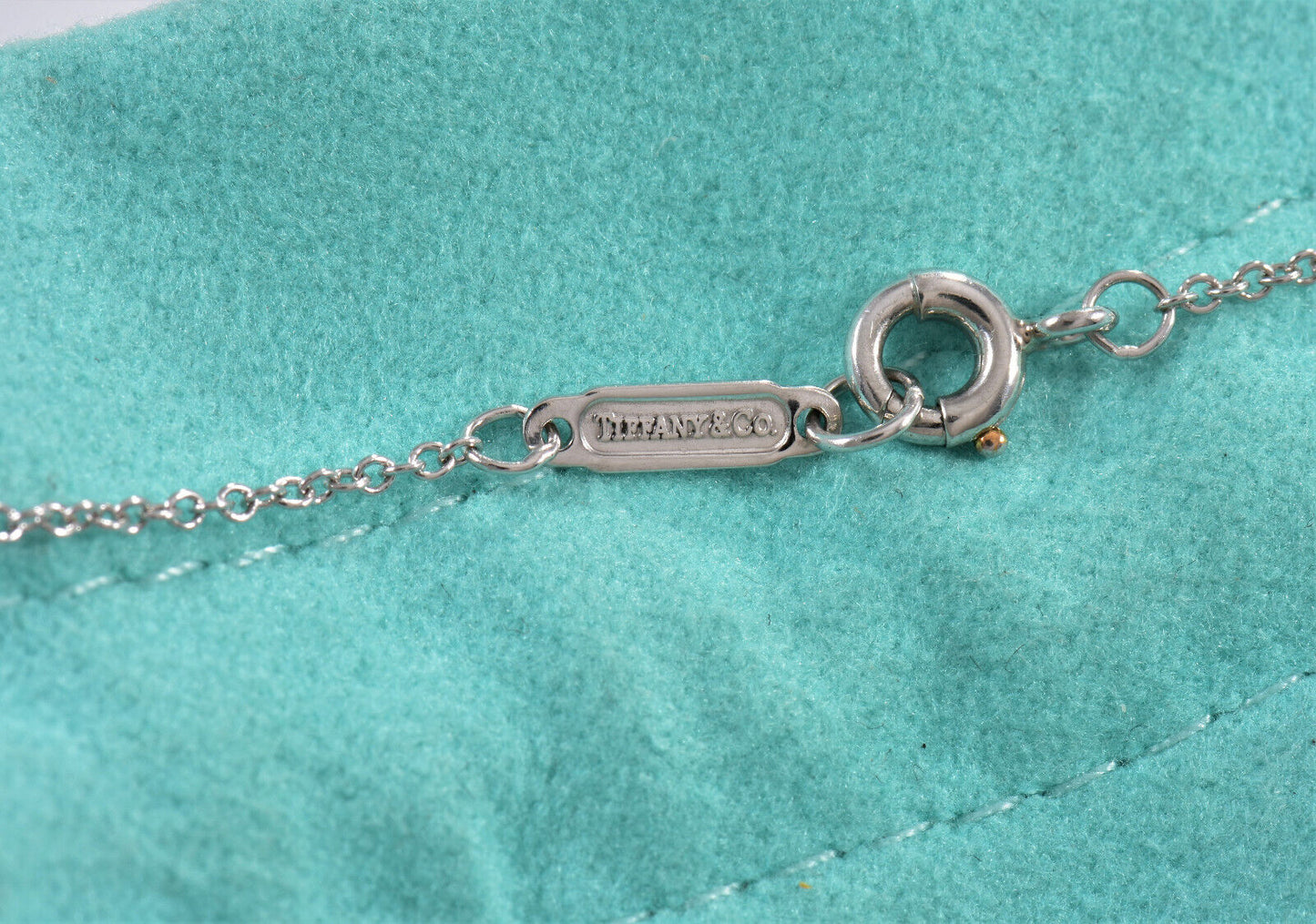 Tiffany & Co Diamond Platinum 1.25" Oval Key Pendant 18.5" Necklace in Box Pouch