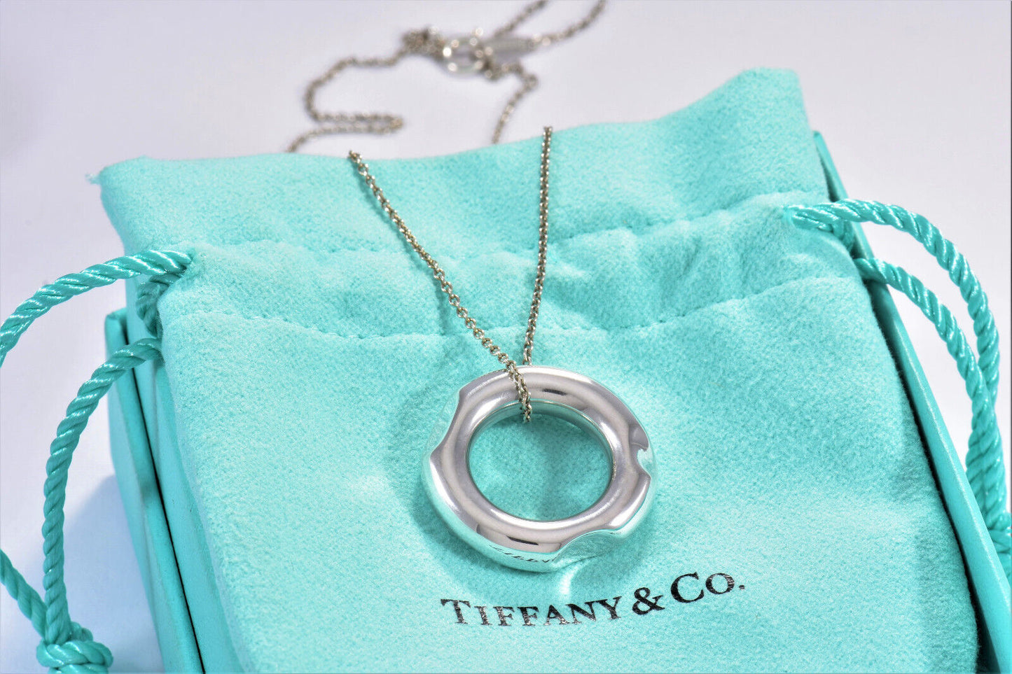 Tiffany & Co Silver Frank Gehry Circle Torque Pendant 16.5" Necklace Rare Tube