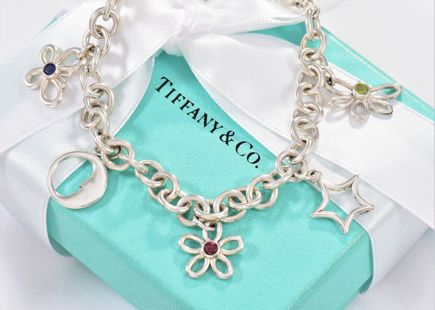 Tiffany & Co Silver Nature Gem Butterfly Moon Flower Star Dragonfly Bracelet