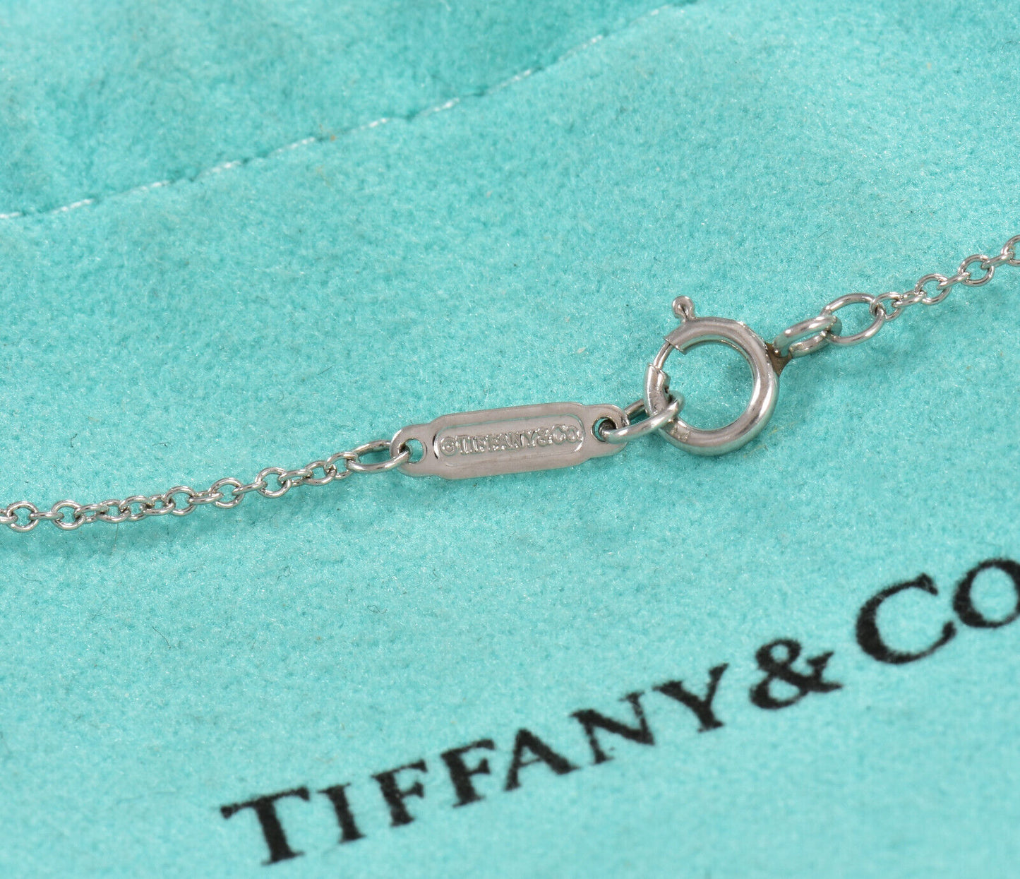 Tiffany & Co Diamond Platinum Infinity 16.25" Necklace & Box Pouch Eternity Rare