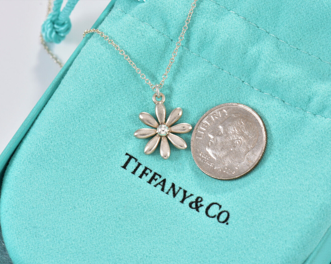 Tiffany & Co Brushed Silver Daisy Flower Pendant Necklace in Pouch Rare Matte