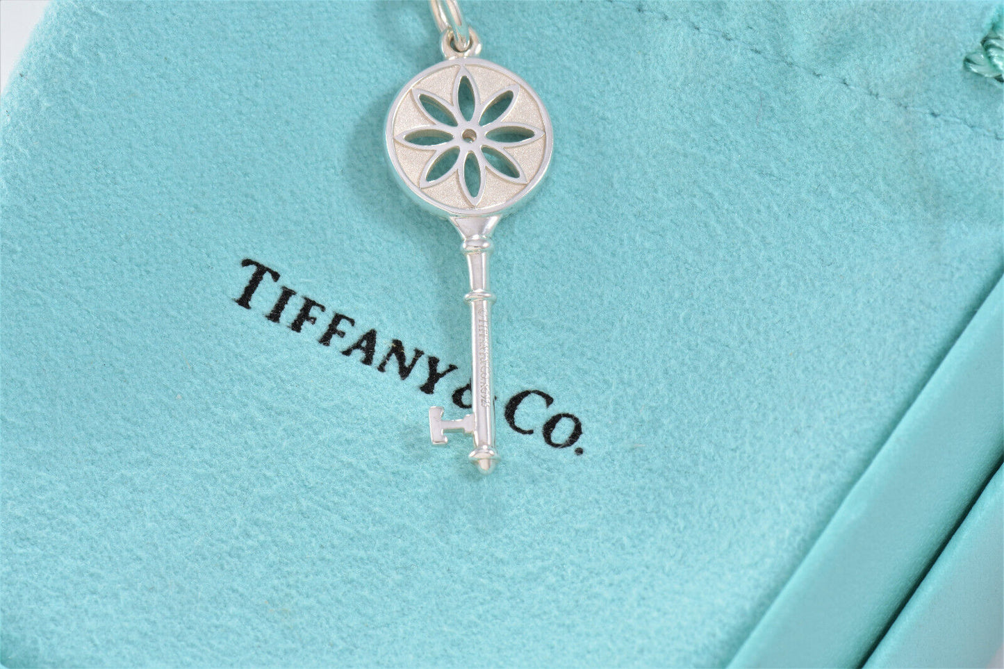 Tiffany & Co Silver Diamond Daisy Flower 1.5" Key Pendant 18" Necklace in Box