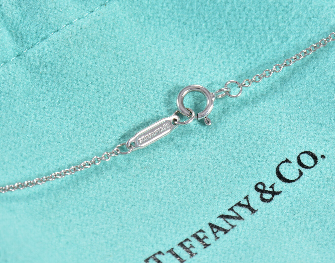 Tiffany & Co Diamond 18k White Gold Interlocking Circles Rings Pendant Necklace