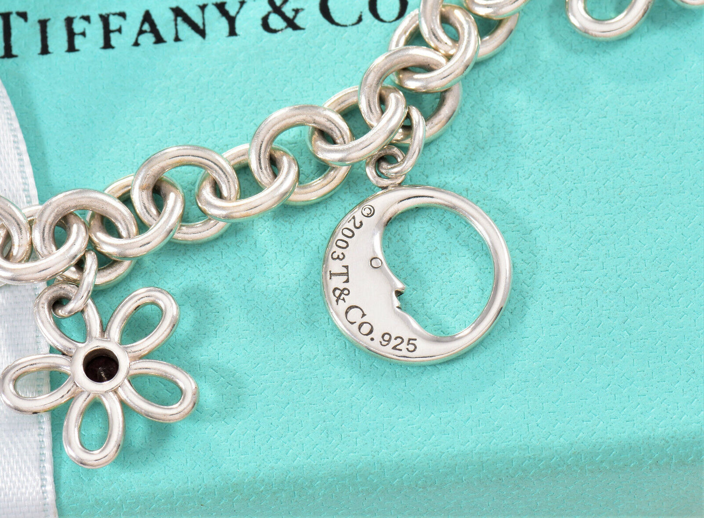 Tiffany & Co Silver Nature Gem Butterfly Moon Flower Star Dragonfly Bracelet