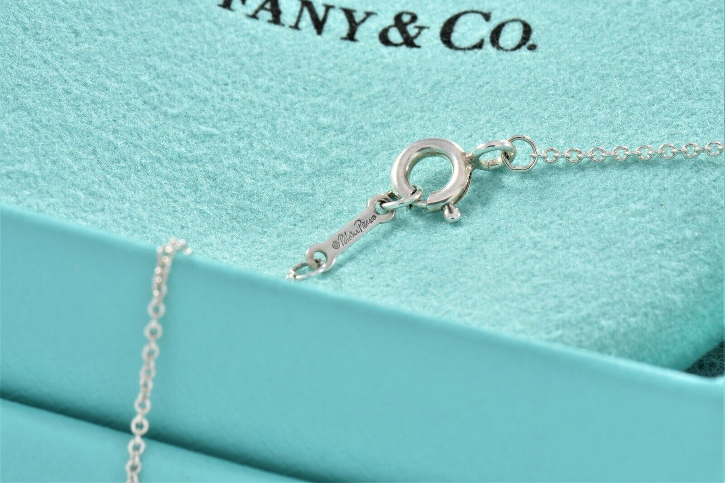 Tiffany & Co Silver Paloma Picasso Hammered Circle Ring Pendant Necklace & Pouch