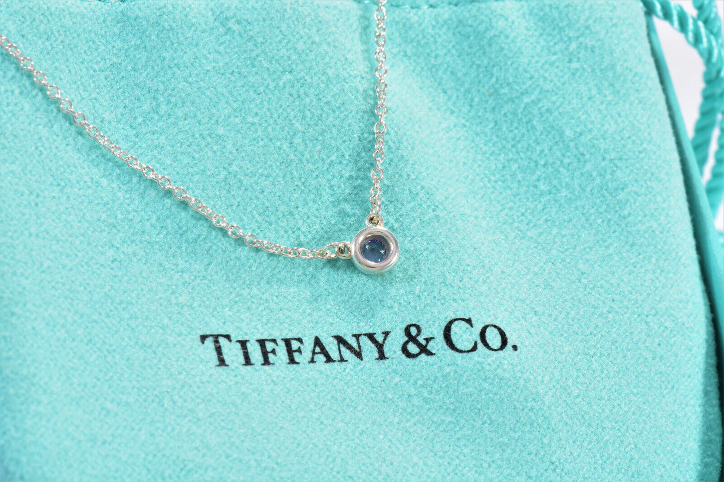 Tiffany & Co Silver Elsa Peretti Color By Yard Tanzanite 16" Necklace Box Pouch