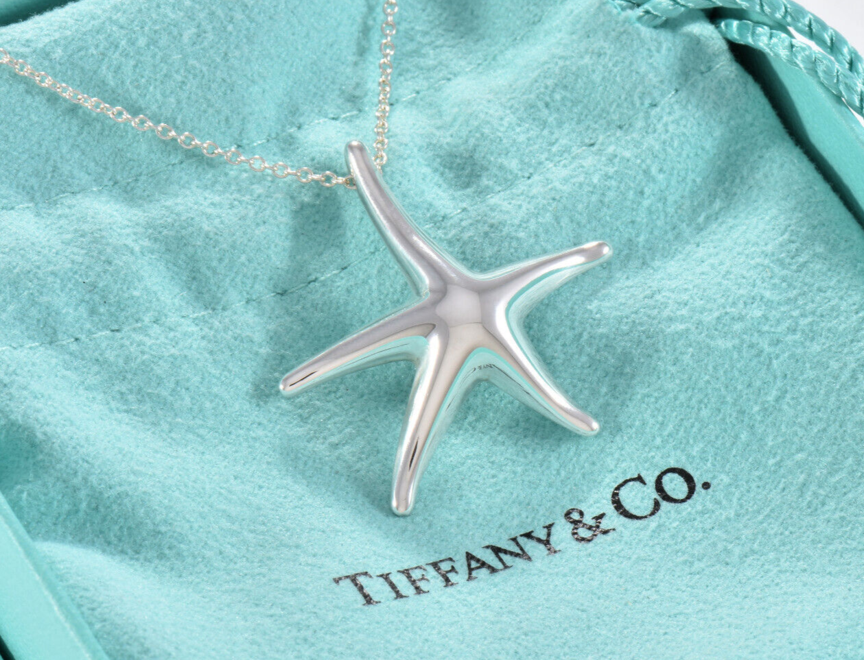 Tiffany & Co Silver Elsa Peretti Large Starfish Pendant 16.25" Necklace in Pouch