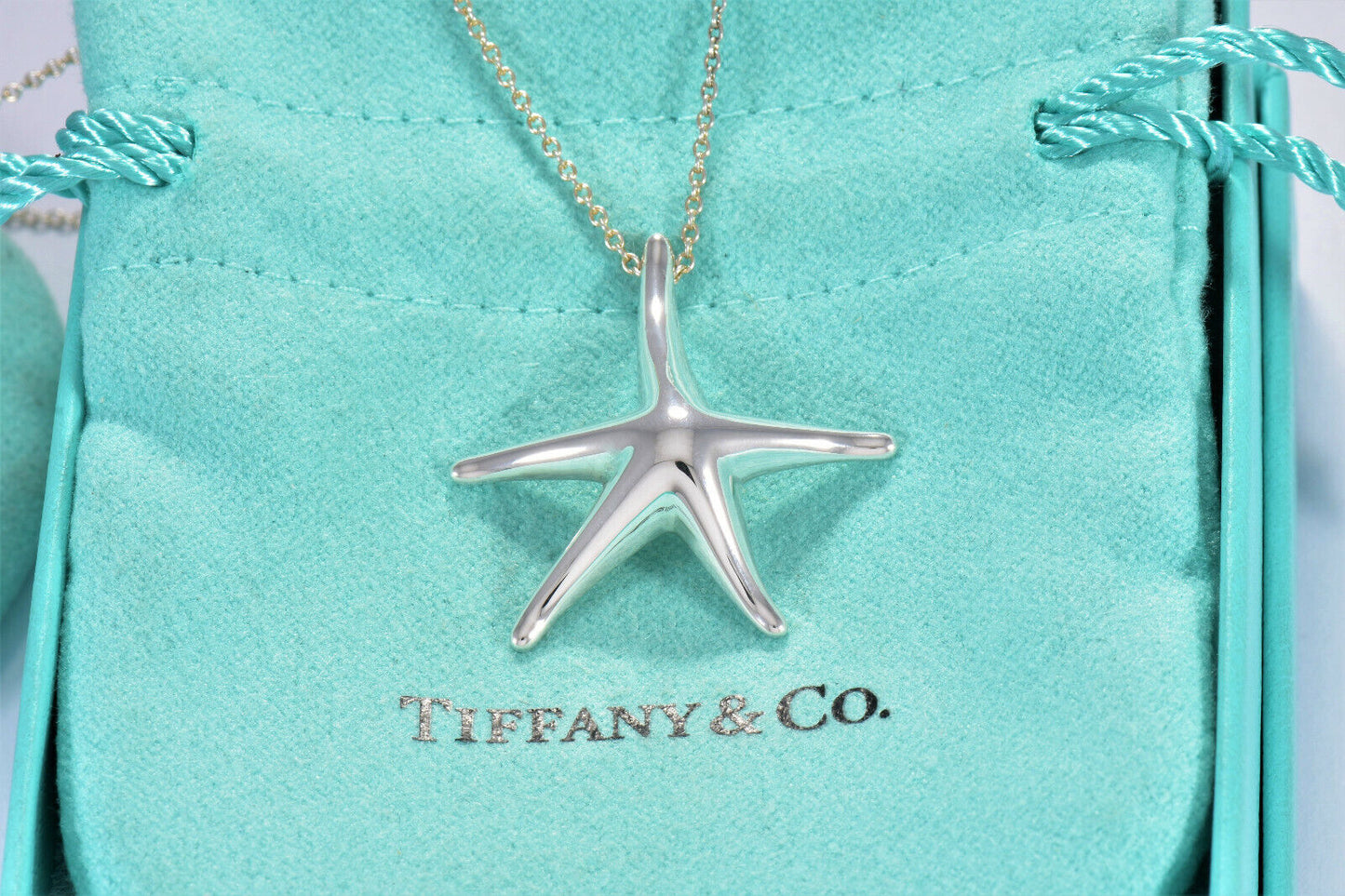 Tiffany & Co Silver Elsa Peretti Large Starfish Pendant 16.25" Necklace in Box