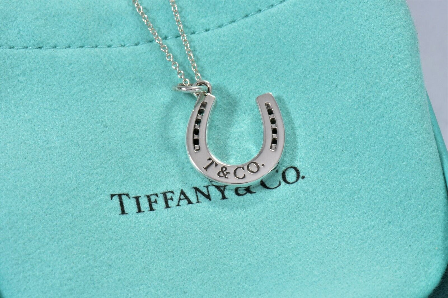 Tiffany & Co Sterling Silver Thick Horseshoe Pendant 16" Necklace in Pouch Rare