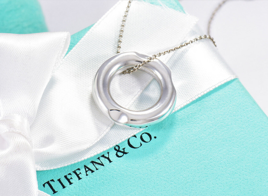 Tiffany & Co Silver Frank Gehry Circle Torque Pendant 16.5" Necklace Rare Tube