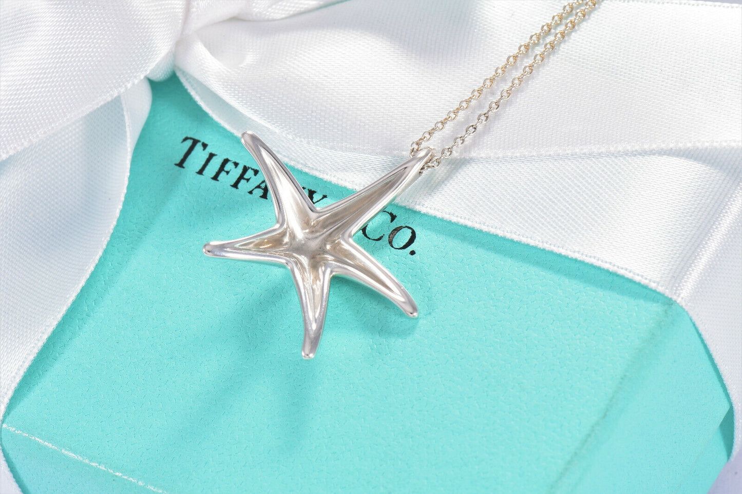 Tiffany & Co Silver Elsa Peretti Large Starfish Pendant 16.25" Necklace in Box