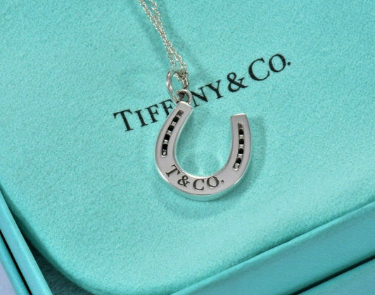 Tiffany & Co Sterling Silver Thick Horseshoe Pendant 16" Necklace in Pouch Rare