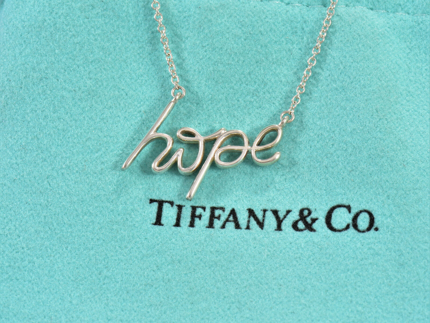 Tiffany & Co Silver Paloma Picasso Graffiti Hope Pendant Necklace in Box Rare